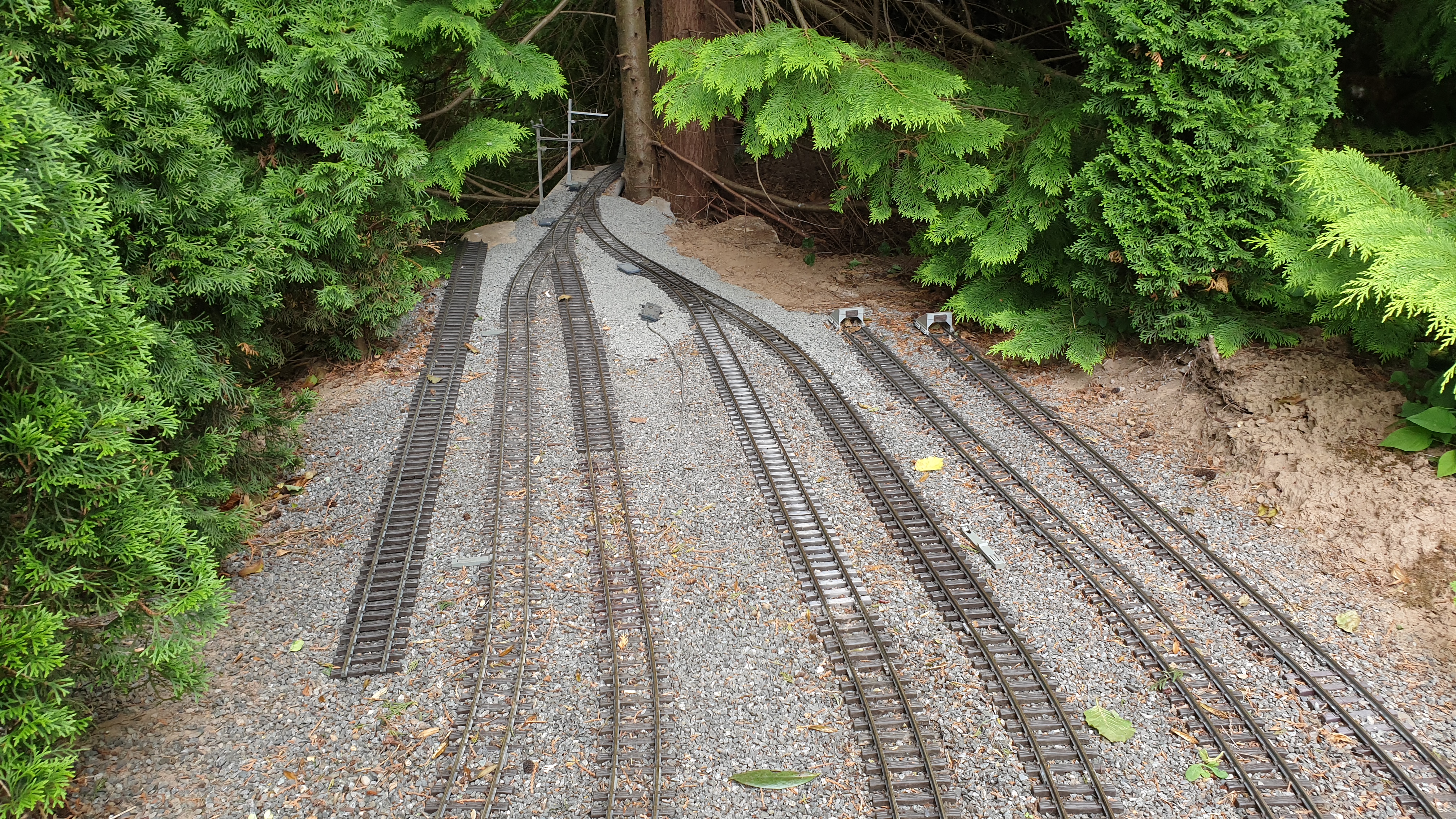 20250615_160848 20250615_160848