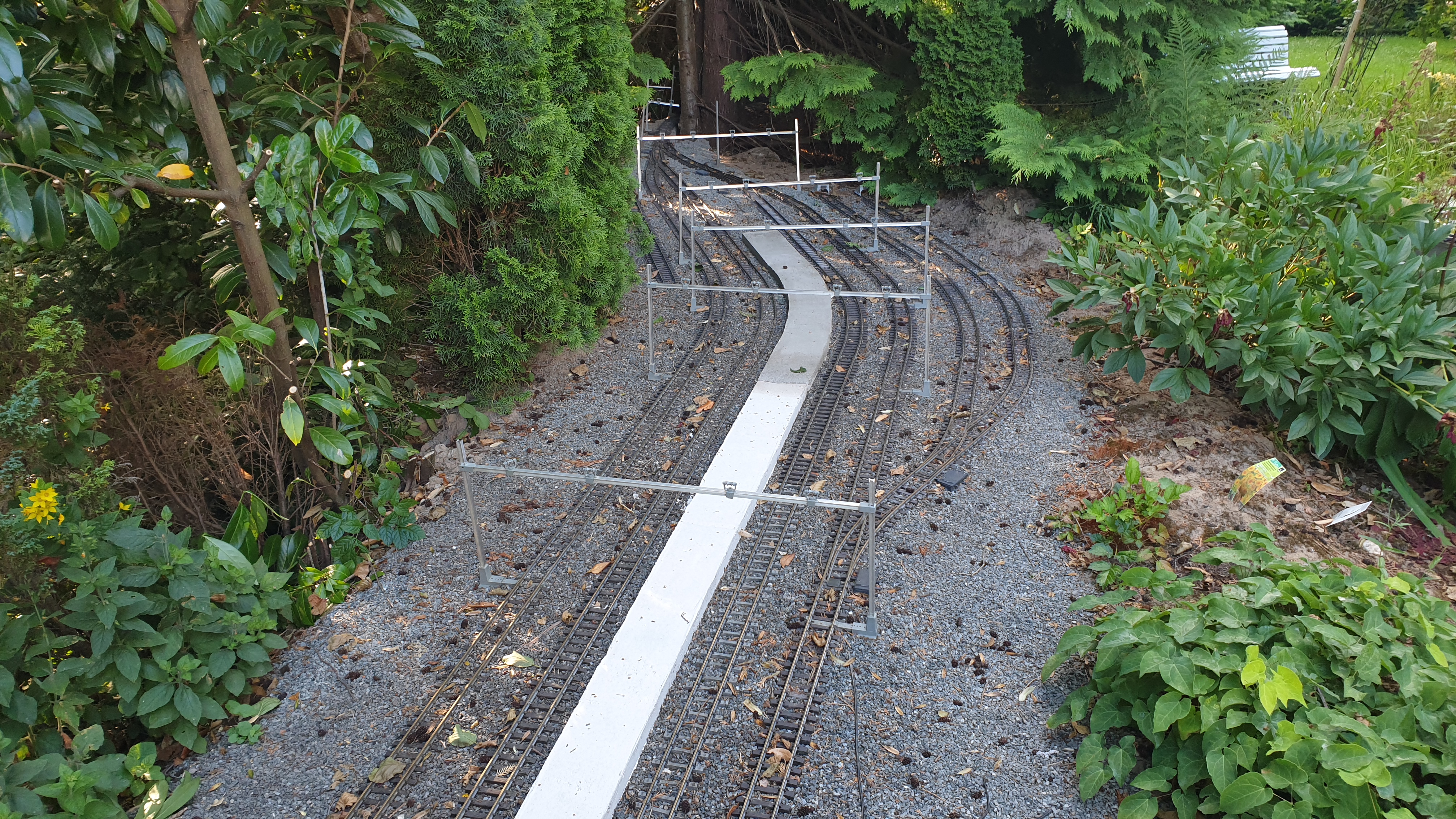 20250703_184444 20250703_184444