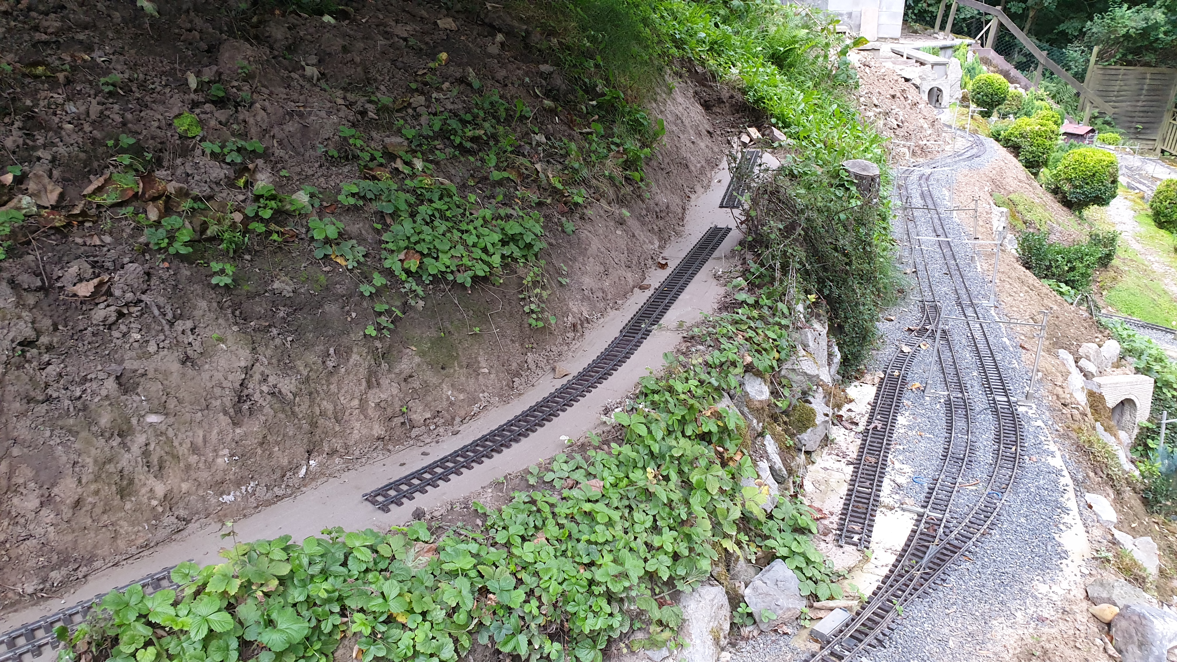 20250731_201221 20250731_201221