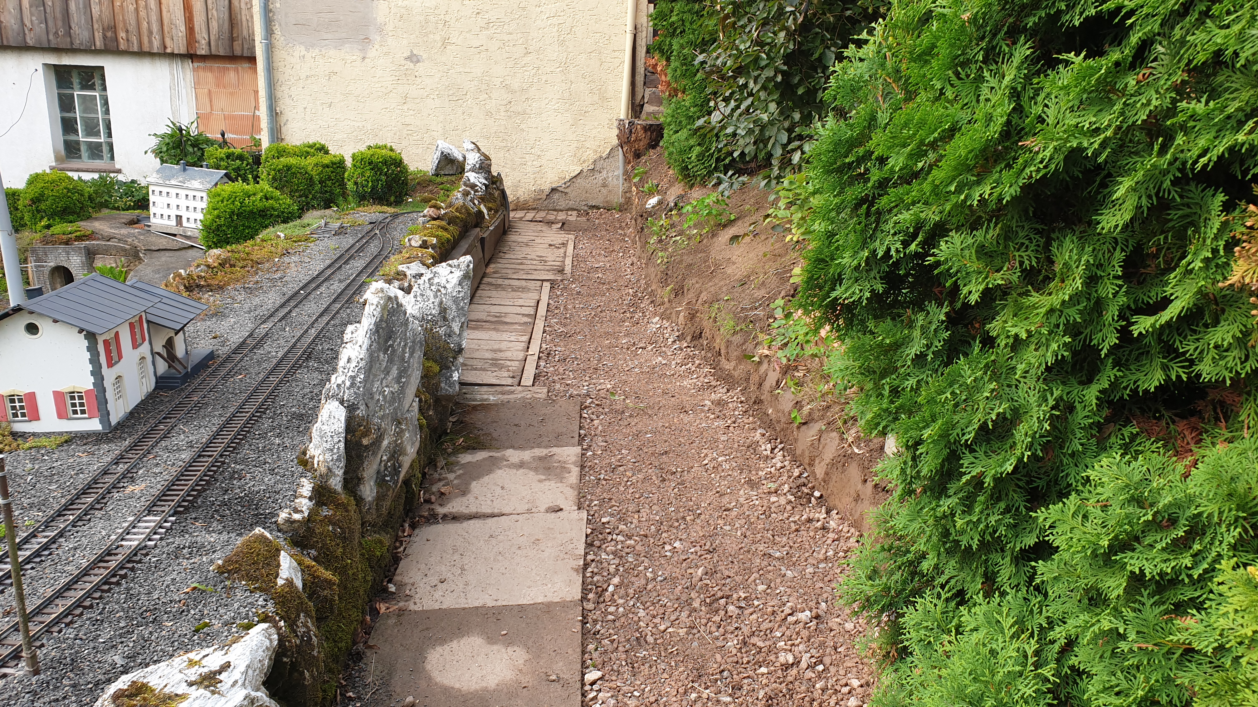 20250803_191727 20250803_191727