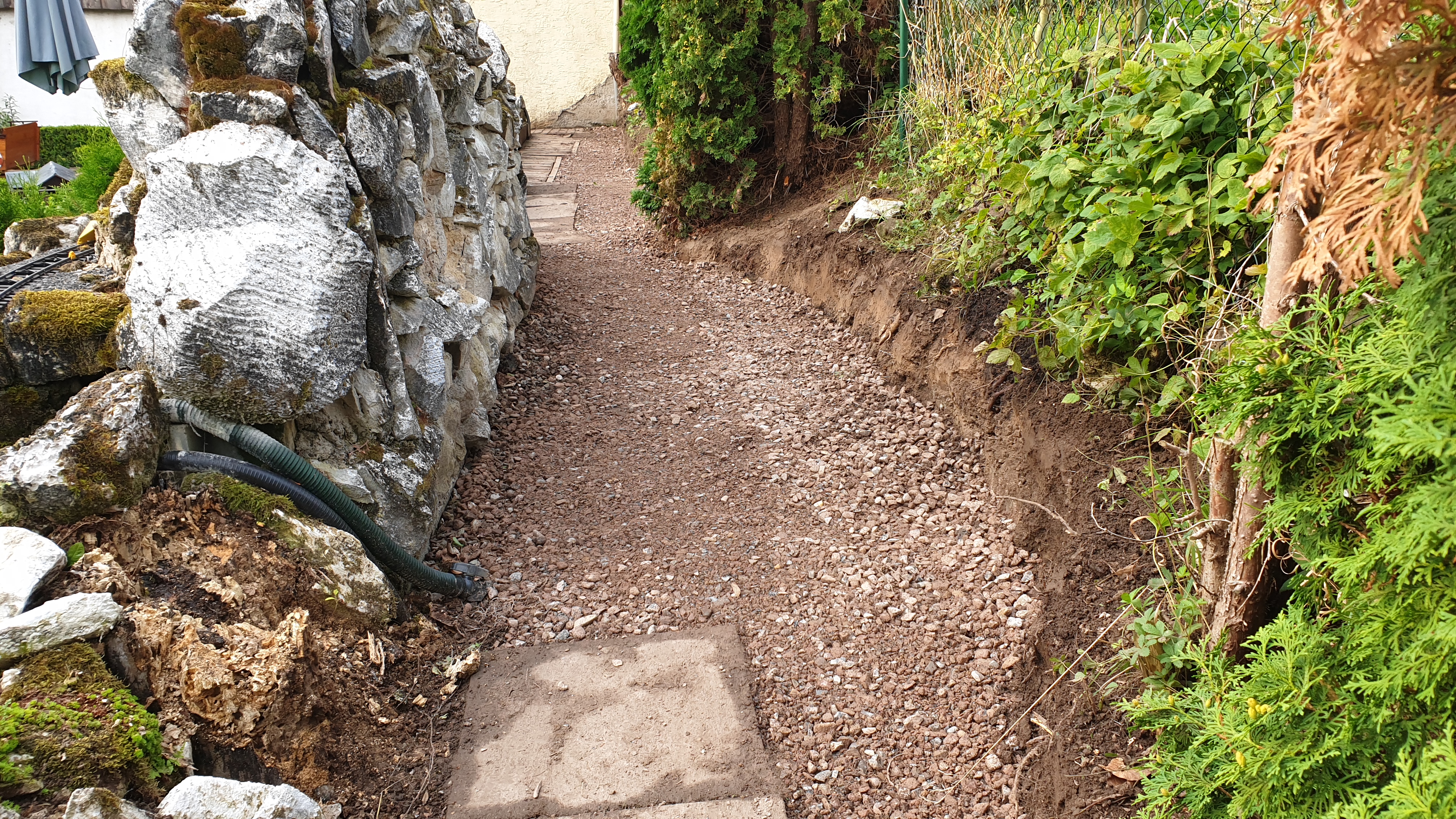 20250803_191740 20250803_191740