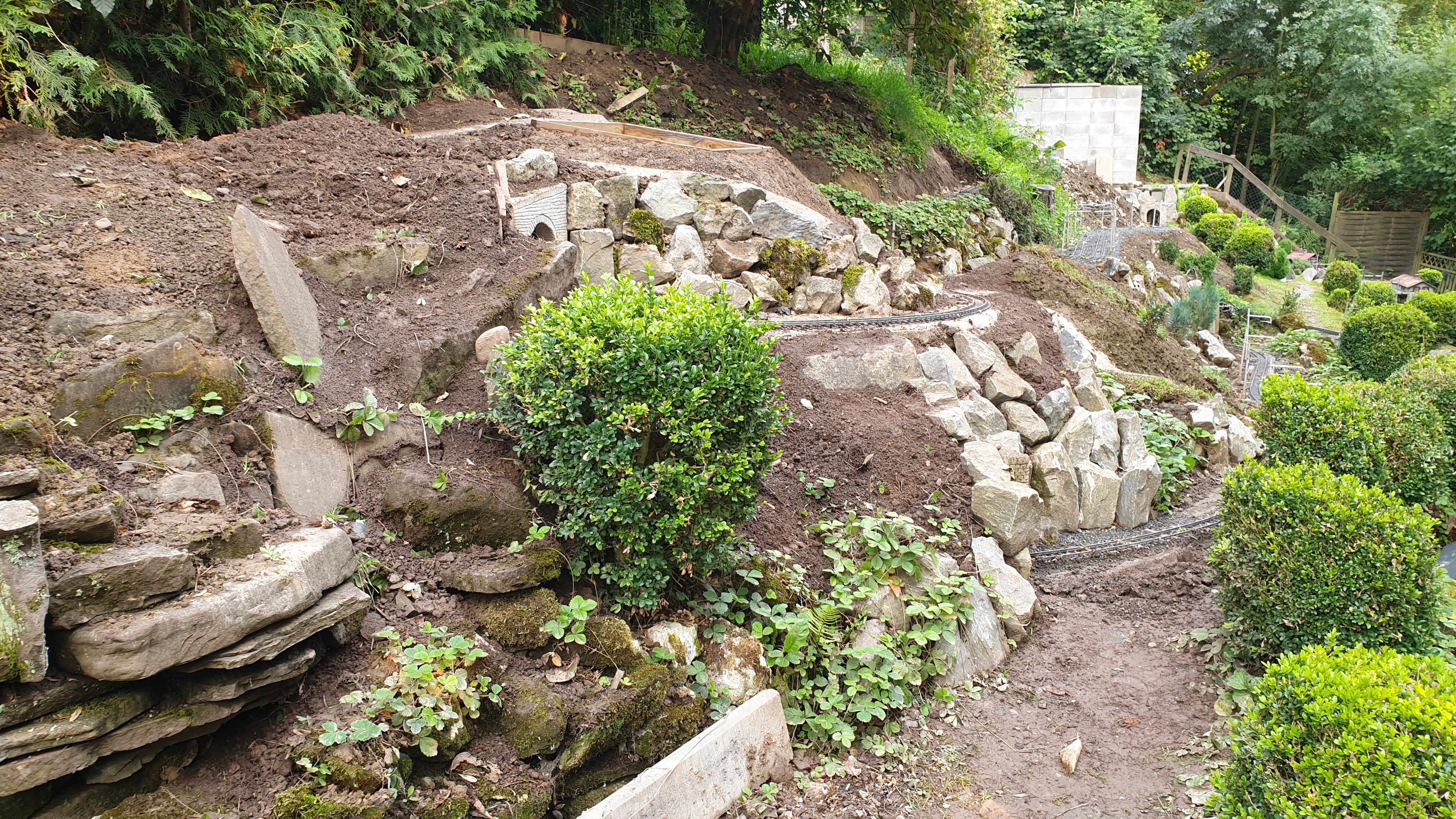 20250803_191821 20250803_191821