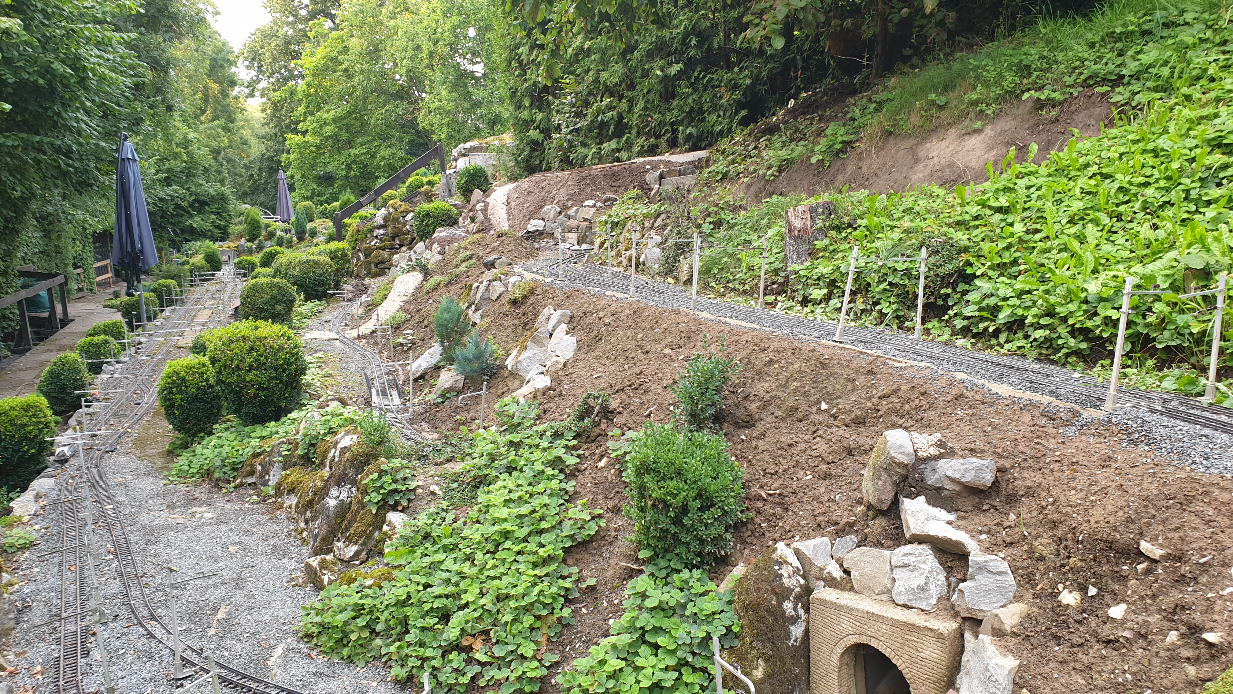 20250803_191900 20250803_191900