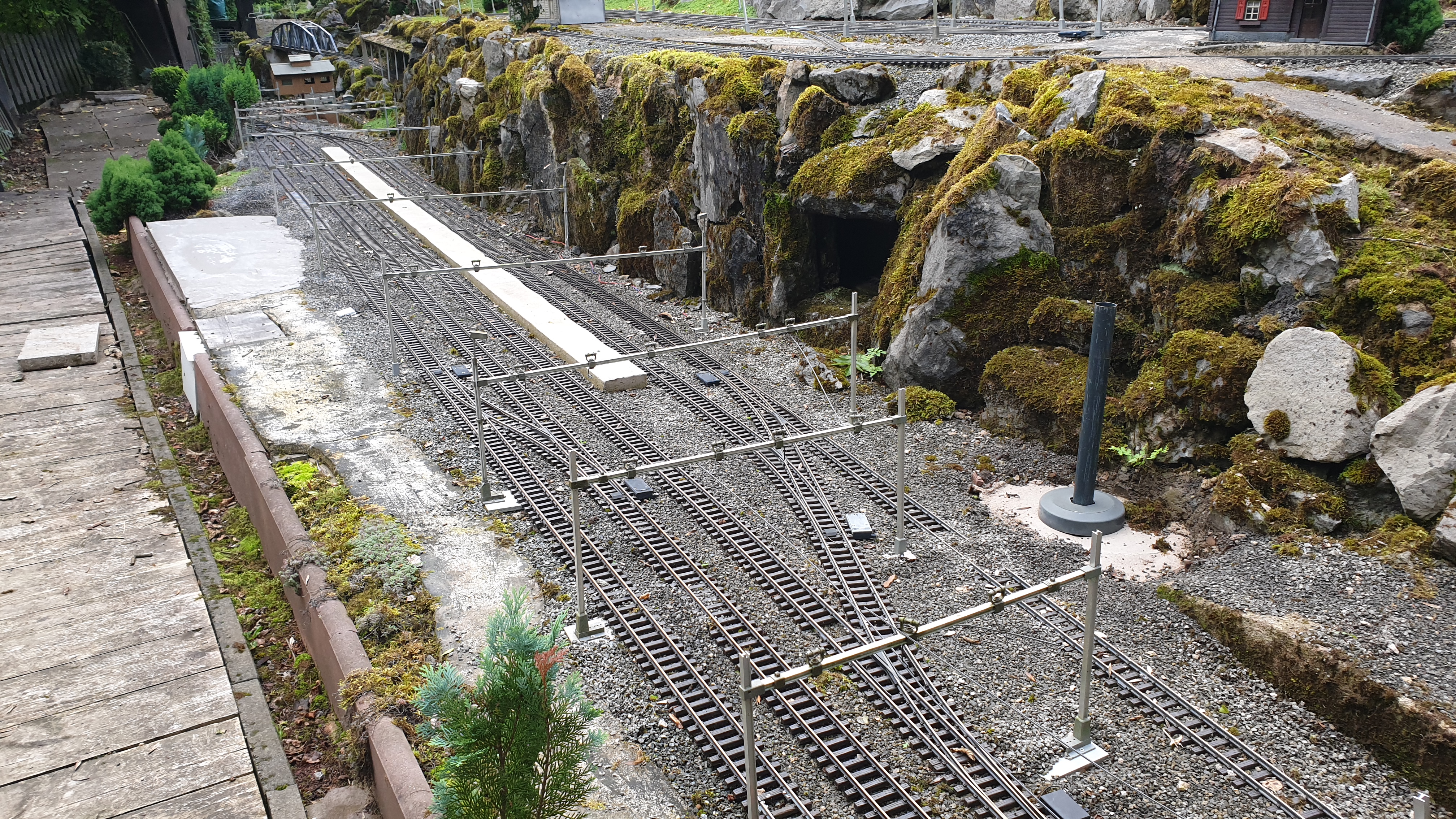 20250803_191952 20250803_191952