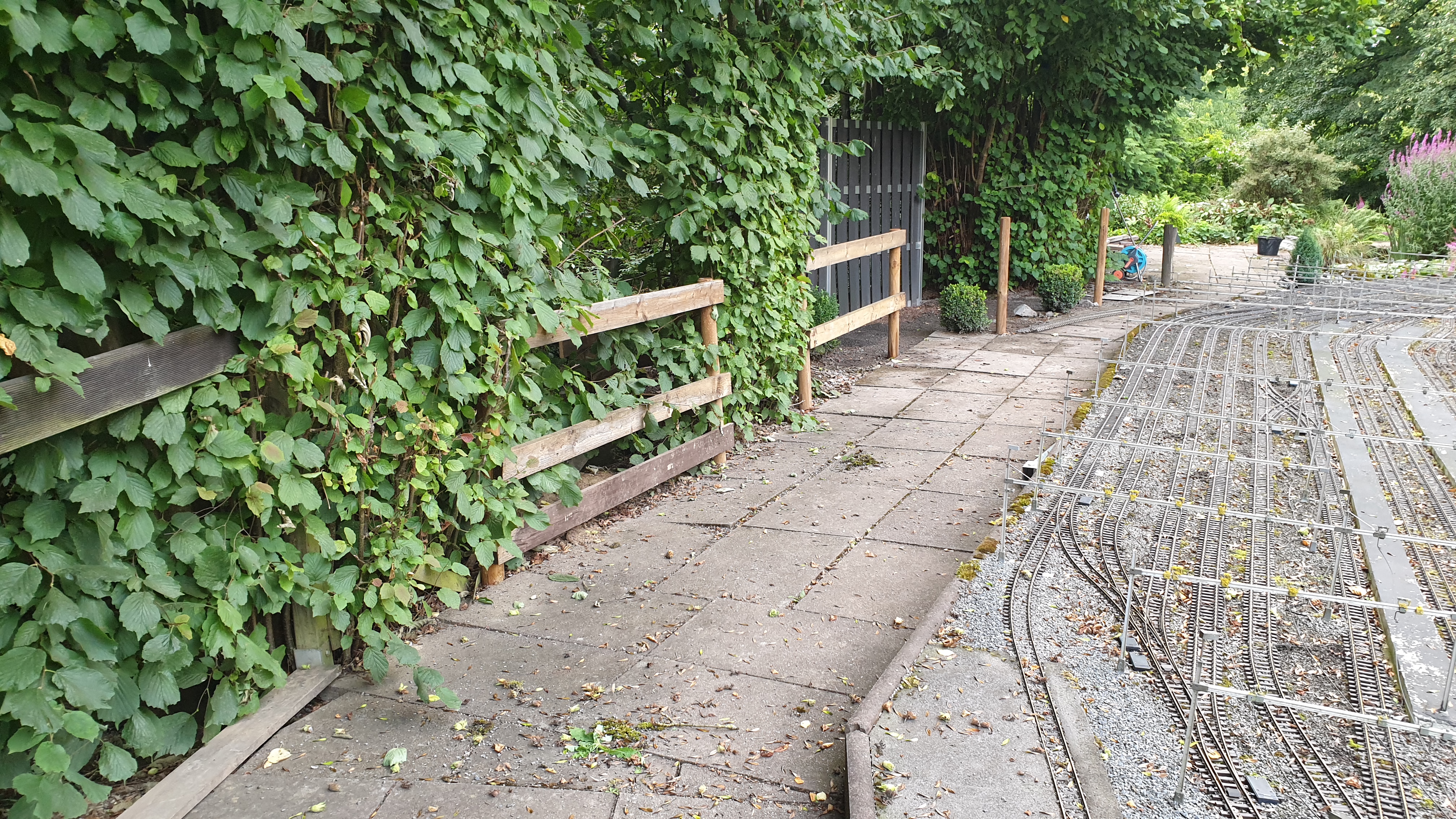 20250803_192033 20250803_192033