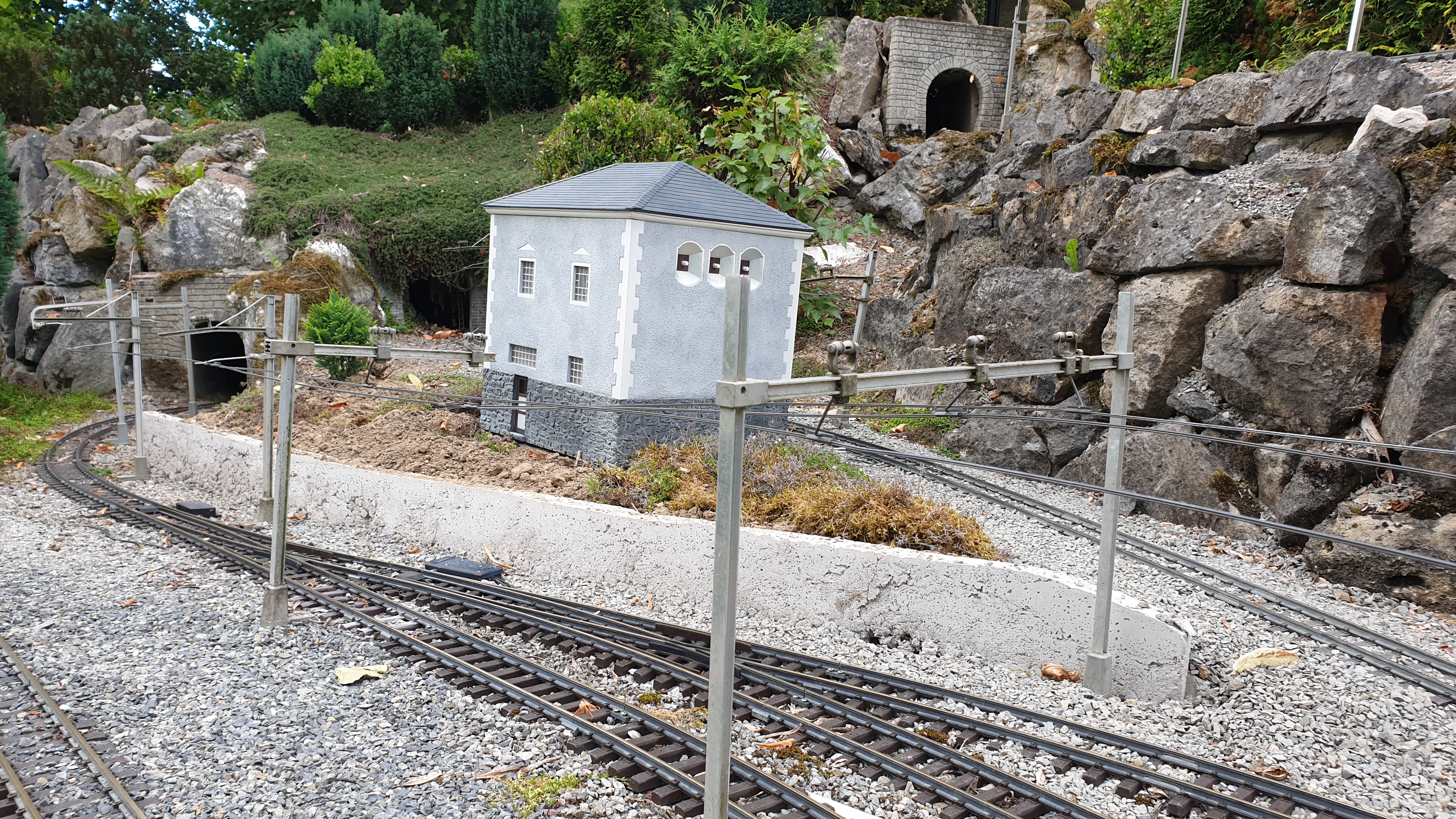 20250824_180734 20250824_180734