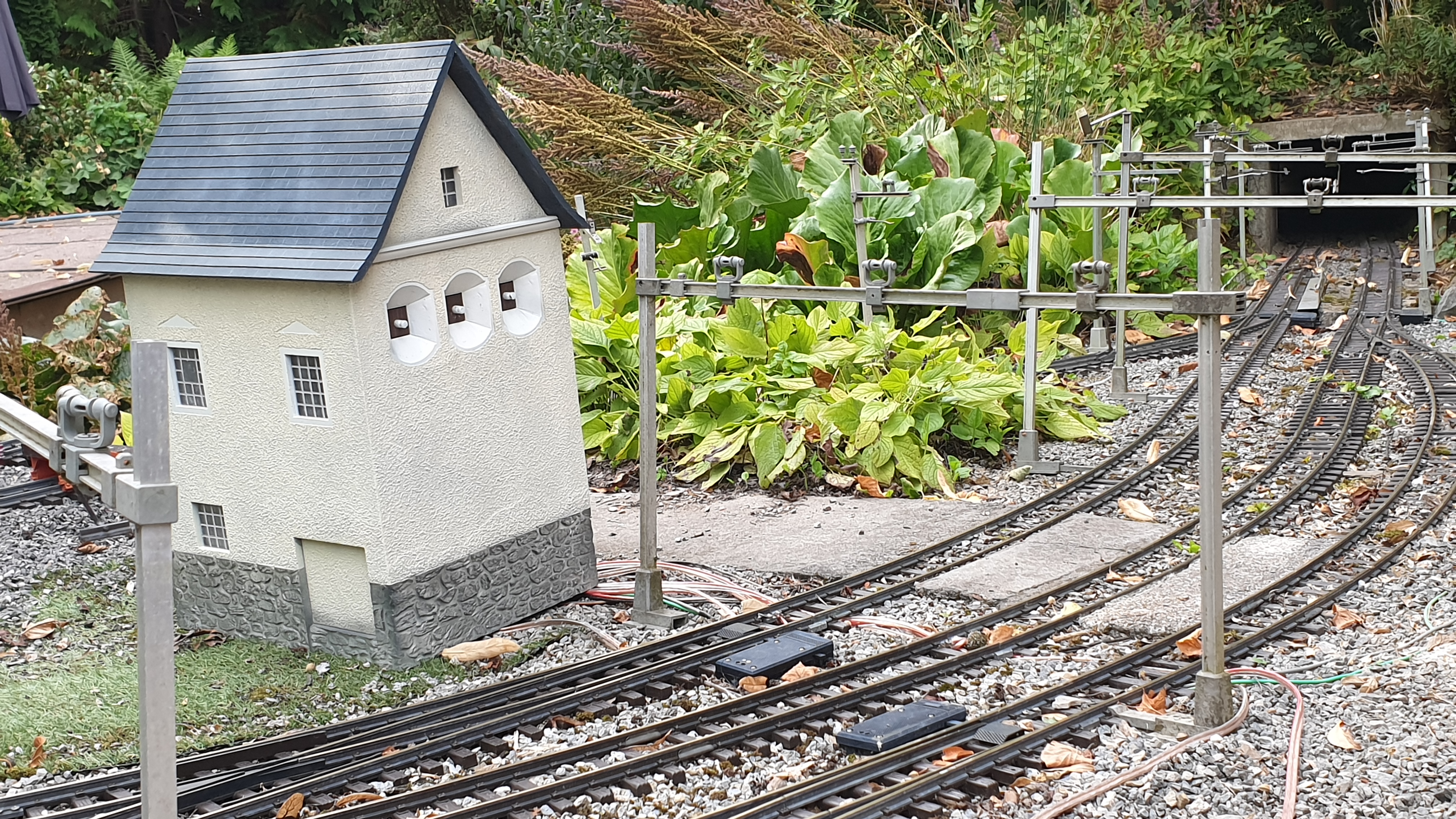 20250824_181021 20250824_181021